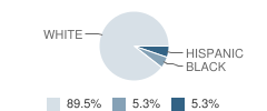 Anne Sullivan Nursery School and Kindergarten Student Race Distribution