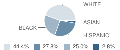 Atkinson Youth Services School Student Race Distribution