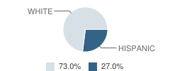 Adventist Christian School Student Race Distribution