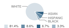 Christ the King Roman Catholic School Student Race Distribution