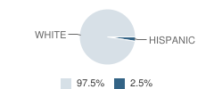 Community School for the Gifted Student Race Distribution