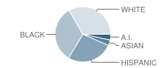 Eagle Rock School Student Race Distribution