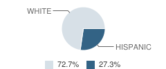 Ellicott Baptist School Student Race Distribution