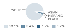 Foothills Academy Student Race Distribution