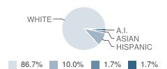 Mountain View Academy Student Race Distribution