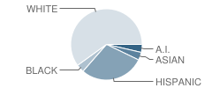 Pleasant Hill Academy Student Race Distribution