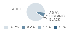 Resurrection Christian School Student Race Distribution