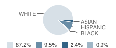 St Louis Elementary School Student Race Distribution