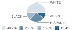 St Pius X Elementary School Student Race Distribution