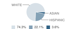 St Stephen's Catholic School Student Race Distribution