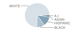 Pikes Peak Academy Student Race Distribution