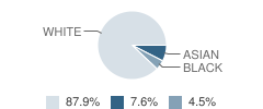 Primrose School of Centennial Student Race Distribution