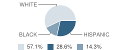 Primrose School of Saddle Rock Student Race Distribution