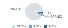 The Academy Child Development Center-West Student Race Distribution