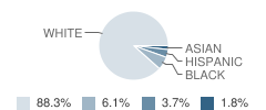 St John School Student Race Distribution