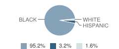 Love Christian Academy Student Race Distribution