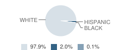 Woodstock Acadamy School Student Race Distribution