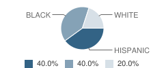 New England Preschool Academy Student Race Distribution