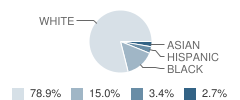 St Timothy Middle School Student Race Distribution