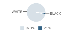 Tri-State Christian Academy Student Race Distribution