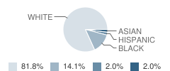 Central De Christian Academy Student Race Distribution