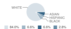 Sanford School Student Race Distribution