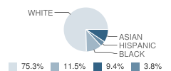 St Andrew's School Student Race Distribution