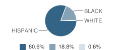 St Paul Elementary School Student Race Distribution