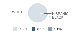 St James Episcopol School Student Race Distribution