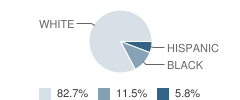 Boys Ranch Learning Center School Student Race Distribution