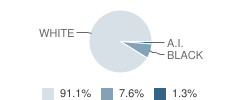 West Charlotte Christian Academy Student Race Distribution