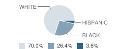 Broach School South Student Race Distribution