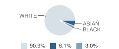 The Willow School Student Race Distribution