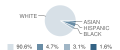 Veritas Preparatory Academy Student Race Distribution