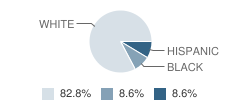 Crossroads School-Lakeland Campus Student Race Distribution