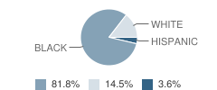 Jacksonville Marine Institute School Student Race Distribution