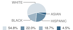 Seffner Christian Academy Student Race Distribution