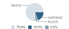 Hope Christian School Student Race Distribution