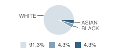 Academie De Montessori School Student Race Distribution