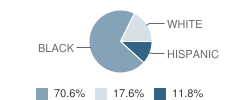 Chatman's Early Learning Christian Academy Student Race Distribution