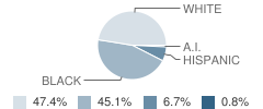 Cornerstone Christian School Student Race Distribution