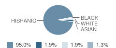 Divine Savior Lutheran Academy Student Race Distribution