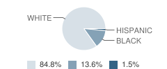 Dixie County Learning Academy Student Race Distribution