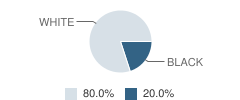 Driftwood Academy Student Race Distribution