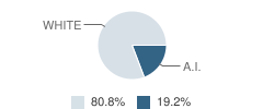 Kanner Academy Student Race Distribution