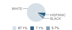 St Bernadette Catholic School Student Race Distribution