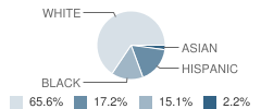 Volusia County Christian Academy Student Race Distribution