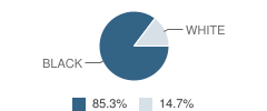 Abc Christian Academy Student Race Distribution