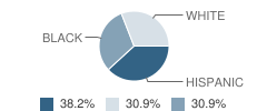 Americana College Preparatory School Student Race Distribution