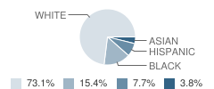 Beacon of Hope Christian School Student Race Distribution